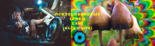 хмурый Зерноград