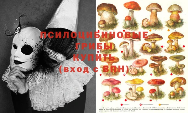 винт Зеленодольск